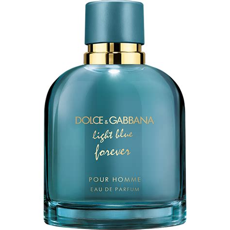 dolce gabbana light blue forever mens|light blue for men review.